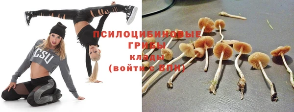 экстази Баксан