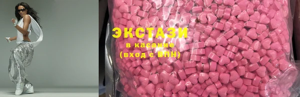 гидра Ельня