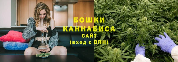 дживик Зеленокумск