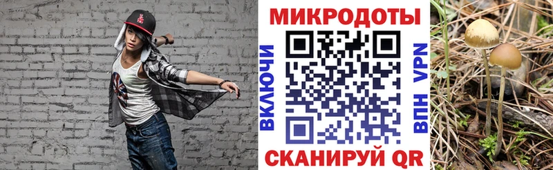 Галлюциногенные грибы GOLDEN TEACHER  darknet клад  Ладушкин  где можно купить наркотик 