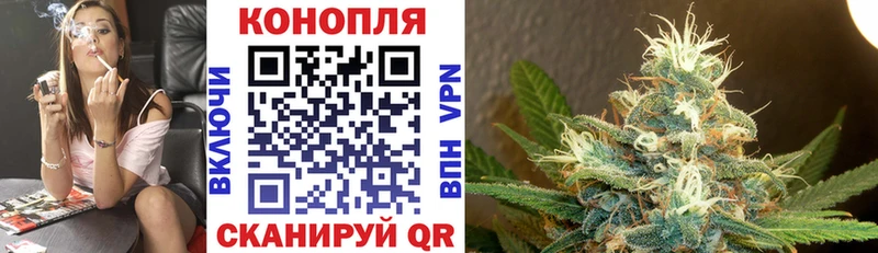 Марихуана конопля  как найти закладки  Ладушкин 